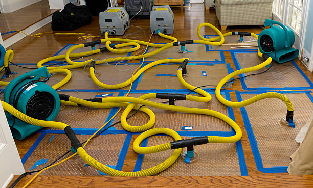 Professional Flood Damage Restoration technician working in Rockland, WI
